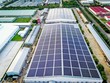 TP.HCM sẽ lắp hệ thống điện mặt trời trên mái các trụ sở công