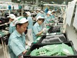 Lắp ráp linh kiện điện tử tại Công ty Panasonic Việt Nam (Khu công nghiệp Thăng Long, Hà Nội). Ảnh: Đ.T