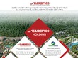 Searefico Holdings thay đổi để phát triển