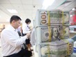Lượng kiều hối về Việt Nam thường tăng mạnh hơn dịp lễ tết cuối năm. Ảnh: Dũng Minh