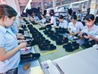 Xuất khẩu giày dép, túi xách 11 tháng đạt 17,7 tỷ USD, giảm hơn 2,2 tỷ USD so với cùng kỳ.