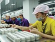 Những đối tác lớn của Apple đều đang không ngừng mở rộng Kl99ok phiên bản mới ở Việt Nam. Trong ảnh: Nhà máy của Luxshare tại Nghệ An.