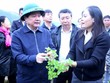 Thạch đen Lạng Sơn xuất khẩu chính ngạch sang Trung Quốc