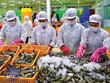 Anh một trong 10 thị trường Link Vào Nhà Cái KL99 COM Tặng +199k thủy sản lớn nhất của Việt Nam, thị phần thủy Kl994 nhà cái bóng đá world cup khẩu của ta tại thị trường này năm 2020 đạt hơn 4% (năm 2015 đạt 1,03%).