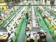 Các chuyên gia tin rằng thị trường lao động sẽ sớm phục hồi.