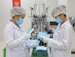 Việt Nam đã xuất khẩu gần 1,4 tỷ khẩu trang y tế trong năm 2020.