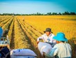 Xuất khẩu gạo của Việt Nam sang Philippines lần đầu tiên đạt hơn 1 tỷ USD vói 2,2 triệu tấn.