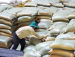 Giá gạo Việt xuất khẩu liên tục tăng trong thời gian qua Ảnh: ĐT