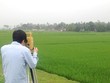 Cần Thơ: Chuyển đổi gần 22 ha đất trồng lúa sang đất phi nông nghiệp