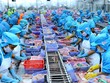 Thủy sản có mức tăng xuất khẩu ấn tượng sang Australia trong tháng 1/2021 với mức tăng 106% so với cùng kỳ. Ảnh: Internet