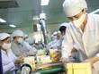 Việc phát triển Kl99kl phiên bản hoạt động trách nhiệm nói chung, Kl99kl phiên bản hoạt động trách nhiệm nghề nghiệp nói riêng, còn rất hạn chế tại Việt Nam. Ảnh: Dũng Minh