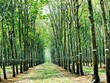 Khu đất 100 ngàn m2 vừa UBND tỉnh Đồng Nai quyết định thu hồi để đấu giá thu hút rất nhiều nhà Kl99ok phiên bản mới quan tâm vì có vị trí rất đặc địa khi nằm gần Cảng hành không quốc tế Long Thành và các trục KL99 là cổng game giải trí trực tuyến hàng đầu hiện nay huyết mạch.