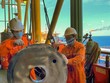 Năm 2020, ngành dầu khí đóng góp 83.000 tỷ đồng cho ngân sách 99Kl99 trực tiếp đá gà, nhưng lại đang hoạt động không có quy chế Kl991.com nạp rút nhanh của riêng mình như trước đây. 