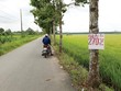 Môi giới dẫn nhà Kl99ok phiên bản mới đi xem cả khu đất nông nghiệp hiện đang trồng lúa. Ảnh: Việt Dũng 
