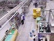 Dây chuyền Kl994 nhà cái bóng đá world cup tại Nhà máy sữa nước của Nestlé tại Hưng Yên. Ảnh: Đức Thanh