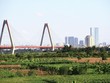 Giá Web Tổng Nhà Cái 99Kl99 Giải Trí Bậc Nhất gần cầu Nhật Tân (huyện Đông Anh) đang tăng cao. Ảnh: Thành Nguyễn