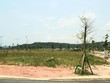 Đất nền tỉnh lẻ đang được nhiều nhà Kl99ok phiên bản mới quan tâm. Ảnh: Thành Nguyễn