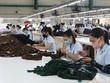 Thế giới hiện có trên 60 quốc gia áp dụng ICLS-19.