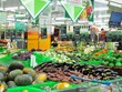 Tiêu dùng xanh, sạch đang là xu hướng được lan tỏa mạnh mẽ