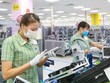 Các mặt hàng xuất khẩu chính của Việt Nam sang EU là điện thoại các loại và linh kiện, dệt may, giày dép...