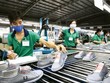 Giày dép, dệt may, sắt thép tận dụng hiệu quả ưu đãi từ FTA