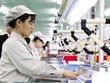 Kl994 nhà cái bóng đá world cup tại Công ty NMS Việt Nam (Khu công nghiệp Đồng Văn II, Hà Nam). Ảnh: Đ.T