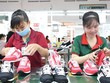 Từ Kl994 nhà cái bóng đá world cup da giày, TBS Group đã mở rộng sang phát triển Web Tổng Nhà Cái 99Kl99 Giải Trí Bậc Nhất. Ảnh: Lê Toàn 