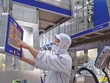 Năng suất lao động bình quân được xem là chìa khóa của sự phát triển.