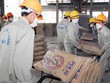 Sản lượng một số vật liệu xây dựng trong đó có xi măng đang dư thừa, cơ quan quản lý khuyến cáo hạn chế Kl99ok phiên bản mới. Ảnh: Đức Thanh
