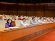 Quốc hội biểu quyết thông qua Bộ luật Hình sự sửa đổi với tội danh "cố ý làm trái" đã được cụ thể hoá ở các điều luật mới.