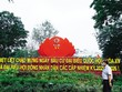 Sáng 23/5/2021, cử tri cả nước sẽ chọn ra 500 đại biểu Quốc hội, 268.890 đại biểu hội đồng nhân dân các cấp được bầu theo luật định làm người đại diện cho mình.