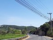 Đường Triệu Việt Vương, Đà Lạt, Lâm Đồng. Ảnh: X.H