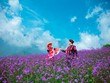 Tháng 5 gọi những mùa hoa, Sa Pa chưa bao giờ đẹp đến thế