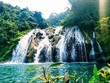 Thác Tà Puồng, Quảng Trị. Ảnh: Internet.