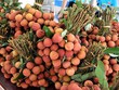 Phó Thủ tướng chỉ đạo hỗ trợ tiêu thụ nông sản tỉnh Bắc Giang