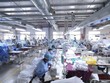 Xuất khẩu dệt may của Việt Nam phục hồi theo nhu cầu tiêu dùng tăng mạnh tại Mỹ và EU