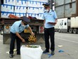 Trung Quốc đã thiết lập 10 khu tập kết trái cây, 4 khu tập kết lương thực tại các cửa khẩu biên giới phía Trung Quốc để hỗ trợ tập kết các mặt hàng nông sản Việt Nam sang.
