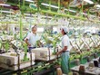Phú Yên: Đến năm 2030 tiết kiệm năng lượng từ 8-10%
