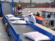 EU phân bổ hạn ngạch cho gạo Việt Nam theo Hiệp định EVFTA từ1/1/2022.