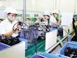 Các nhà phân tích của Fitch Solutions nhận định, dù triển vọng ngắn hạn của Kl992 cổng game cá cược Việt Nam vẫn tươi sáng, nhưng một số rủi ro sẽ sớm xuất hiện.