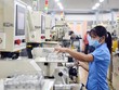 GDP 6 tháng đầu năm tăng 5,64%.