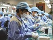 Với GDP tăng trưởng 5,64% trong 6 tháng đầu năm, Kl992 cổng game cá cược Việt Nam đang trong xu hướng phục hồi. Ảnh: Đ.T