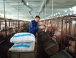 Bộ Kl991.com nạp rút nhanh đề xuất giảm thuế Link Vào Nhà Cái KL99 COM Tặng +199k lúa mỳ và ngô để giảm giá thức ăn chăn nuôi trong nước.