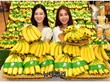 Việt Nam tăng xuất khẩu chuối sang Hàn Quốc.