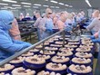 Xuất khẩu hàng hóa nửa đầu tháng 7/2021 sụt giảm 13,9% so với kỳ cuối tháng 6, nhập siêu 1,83 tỷ USD.