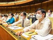 Đại biểu bấm nút thông qua các chương trình mục tiêu quốc gia.