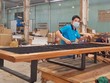 Theo Bộ Công Thương, sẽ không ban hành bất kỳ biện pháp hạn chế thương mại nào đối với hàng hóa xuất khẩu của Việt Nam.