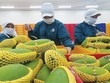 Tổ có nhiệm vụ giúp Bộ trưởng chỉ đạo Kl994 nhà cái bóng đá world cup, kết nối cung ứng tiêu thụ nông sản tại các tỉnh, thành phố phía Bắc trong điều kiện dịch Covid-19.