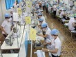 Ngành dệt may lo đứt gãy chuỗi Kl994 nhà cái bóng đá world cup trong bối cảnh giãn cách Trang Chủ KL99Com Số 1 Link Đăng Ký KL999. Trong ảnh: Nhà máy may Việt Tiến. Ảnh: Lê Toàn