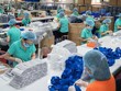 Cần có các chính sách, giải pháp nhanh, mạnh và kịp thời để tháo gỡ các vướng mắc, khó khăn của Kl991.com World Cup 2026 Chính Thức bị ảnh hưởng bởi đại dịch Covid-19